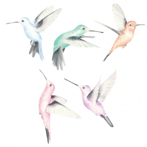 Watercolor Hummingbirds