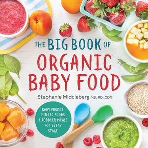 The Big Book of Organic Baby Food