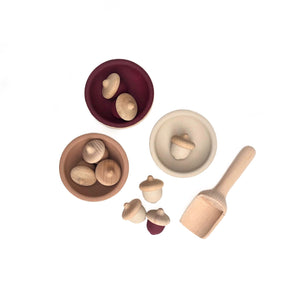 Acorns Sorting Set - Desert