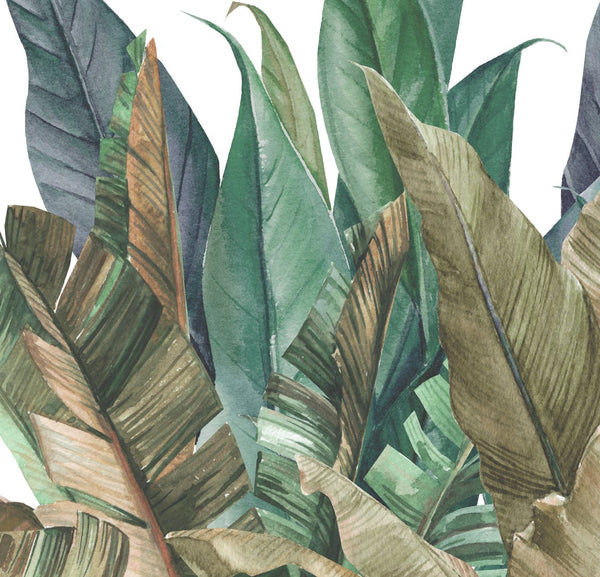 Rainforest Wall Mural